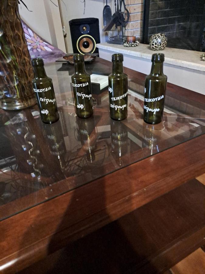 Spiros Corfu Apartment Kanálion エクステリア 写真